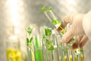02biotecnologia
