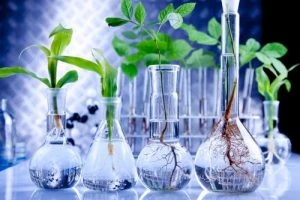 Biotecnologia_verde